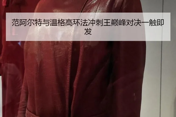 fan-a-er-te-yu-wen-ge-gao-huan-fa-chong-ci-wang-dian-feng-dui-jue-yi-chu-ji-fa-3-133.jpg